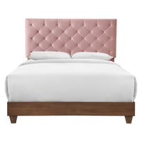 Modway Rhiannon Diamond Tufted Upholstered Performance Velvet Queen Bed - Walnut Dusty Rose-Diamond Tufted Modern Queen Bed