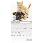 DateWorks 2026 16-Month Mini Wall Calendar - 7" x 7" - Buddies - Bilingual-Animals