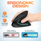 Delton S12 Wireless Rechargeable Ergonomic Computer Mouse - Right Handed - Black-Features a built-in rechargeable battery, offering up to 30 days of daily use and an impressive 12 months of standby time.
