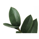 Monarch Specialties 29" Artificial Indoor ZZ Plant - Floor - Black Pot-5 year limited warranty against manufacturer's defects