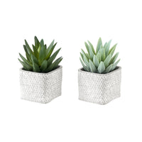 Monarch Specialties 9363 8" Tall Artificial Succulents - Grey Cement Pots - Set of 2-Add a modern decorative accent with this set of 2 artificial plants, featuring 8" tall artificial succulents designed to enhance any table, shelf, or desk in your home or office