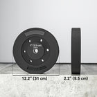 Soozier Weight Plates Set of 2 - 1-Inch Barbell Weights Set - 2 x 22 lb-Functions as a versatile weight plate, expanding your home gym exercise options 