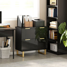 HOMCOM 2 Drawer File Cabinet with Adjustable Rails for Letter/A4/Legal Size Files- High Gloss Black-Top surface holds printer, scanner, or decor with ease