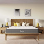 Modway Kate 8" Queen Mattress-7.2" Individually Wrapped Coils