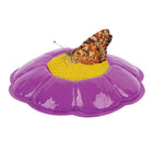Insect Lore Butterfly Pavilion Growing Kit -Due to insect shipping restrictions, this item cannot be shipped to Hawaii, Puerto Rico, Mexico and Canada