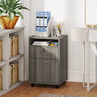HOMCOM Vertical Filing Cabinet with Lockable Drawer - Grey-Lockable drawer with two keys keeps important files safe  
