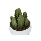 Monarch Specialties 6" Artificial Indoor Succulent Green Plants - Table - White Pots - Set of 3-No assembly required and backed by a 5 year limited warranty against any defects for your satisfaction and enjoyment