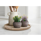 Monarch Specialties 9364 8" Tall Artificial Succulents - Brown Cement Pots - Set of 2-Crafted from high-quality materials, these environmentally friendly artificial plants are durably made for long-lasting style and everyday use