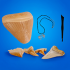 National Geographic Shark Tooth Dig Kit-7.25"W x 2.4"D x 10"H