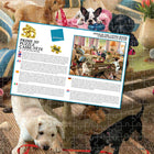 Giordano Dogs in the Living Room - 500 Pieces-Completed puzzle size: 24 x 18 inches / 61 x 46 cm