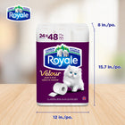 Royale Velour Toilet Paper - 48 Rolls-9