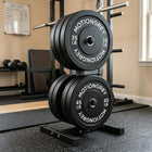 MotionGrey Standard Weight Plates - Olympic Strength Training Barbell Plates - 10 lb - Black - Set of 2-6