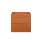 Modway Scenic 24" Wall-Mount Bathroom Vanity Cabinet - Cherry/Walnut-Fixtures Not Included
