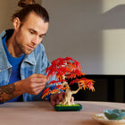 LEGO Botanicals Japanese Red Maple Bonsai Tree-Diy craft for adults - lego and bonsai combine to provide an immersive creative outlet for nature and plant lovers