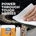 Royale Tiger Strong Paper Towel - 24 Pack-The Royale brand is part of an organization that plants millions of trees annually in responsibly managed forests, with a billion trees planted since 1957 and counting
