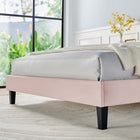 Modway Daisy Performance Velvet Twin Platform Bed - Pink-Tapered Wood Legs