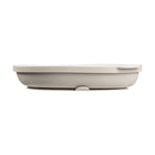 b.box Silicone Plate + Lid - Latte-Suitable for hot and cold foods