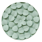 Dexypaws Sage Green Circle Enrichment Snuffle Mat-100% Food-grade silicone