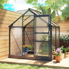 Outsunny Polycarbonate Greenhouse - 6' x 4' x 6.6' - Grey- Nurse seedlings, grow tropical, or extend the growing season into mild winters
 