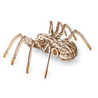 EWA Eco-Wood-Art Spider 3D Wooden STEM Construction Kit - Set of 293-No messy glue required