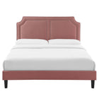 Modway Novi Performance Velvet King Bed with Tapered Black Wood Legs - Dusty Rose-Assembly Required