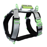 Healthy Harness Ultimate Urban Premium Dog Harness - Silver - XXLarge-No-pull, no-choke design-prevents harmful pressure on your dog’s neck and throat for safer, healthier walks