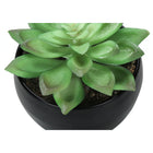 Monarch Specialties 6" Artificial Indoor Succulent Green Plants - Table - Black Pots - Set of 3-Product dimensions: 4 in. L x 4.5 in. W x 5.75 in. H: 4 in. L x 4.5 in. W x 5.5 in. H: 4 in. L x 4.5 in. W x 4.25 in. H
