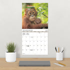 DateWorks 2026 16-Month Wall Calendar - 12" x 12" - Animal Babies - Bilingual-Features monthly pages for January to December 2026, as well as the last 4 months of 2025