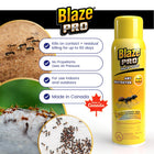 Blaze Pro Ant Nest Destroyer Spray - 400ml - 12 Pack-Long-lasting residual effect