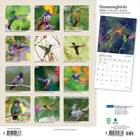 Plato 2026 Hummingbirds Monthly Hanging Wall Calendar - 12" W x 24" H  - English-Durable Construction - Sturdy, high-quality paper resists curling and ink bleed-through, and durable binding ensures longevity throughout the year