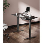 Ezywork 48" Electric Sit Stand Desk - Black-Desktop Size: 47.3"W x 23.6"D (120cm x 60cm)