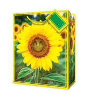 Millbrook Studios Gift Bags - Large - Floral - 12 Pack (47587)-12.75" x 5.38" x 10.38"