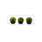 Monarch Specialties 5" Artificial Indoor Grass - Table - Black Pots - Set of 3-These easy-care indoor table plants are made from the highest quality materials and require no maintenance or watering, for a sustainable and environmentally friendly decorative accents that will last a lifetime