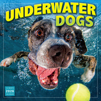 Sellers Publishing Inc. 2026 Wall Calendar - Underwater Dogs - English-Large, easy to use, 12" x 12" full-page grids with small at-a-glance month grids 