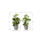 Monarch Specialties 14" Artificial Indoor Ficus - Table - Grey Pots - Set of 2-These easy-care faux table plants are made from the highest quality materials and require no maintenance or watering