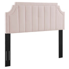 Modway Alyona Channel Tufted Performance Velvet Twin Headboard - Pink-Channel Tufted Twin Headboard