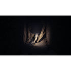 REANIMAL for PlayStation 5-Breathtaking monsters and unparalleled atmospheric horror 
