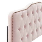 Modway Sophia Tufted Performance Velvet Twin Headboard - Pink-Stain-Resistant Fabric