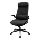 COUGAR Stryder Office Chair with Lumbar Support & Flip-Up Armrests - Black-Clean, Low-Profile Design: With its understated silhouette and contemporary finish, Stryder integrates effortlessly into any environment - professional, creative, or personal. It's designed to look at home in modern workspaces, gaming setups, and everything in between
