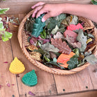 Yellow Door Sensory Play Stones - Leaves - Set of 12-Grade VPK-1