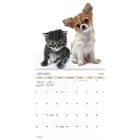 DateWorks 2026 16-Month Mini Wall Calendar - 7" x 7" - Buddies - English-September 2025 - December 2026