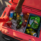 RovR RollR 60 Quart Wheeled Hard Cooler with Tow Handle - Powder-Specifically designed to store glass wine and spirit bottles upright