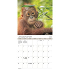 DateWorks 2026 16-Month Wall Calendar - 12" x 12" - Animal Babies - Bilingual-September 2025 - December 2026