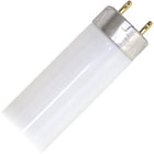Northern Stars Fluorescent Tube Light Bulb - T8 F17T8/841 4100K Med Bi-Pin 17W 1300LM 85 CRI - 24"- Frosted - 2 Pack-Fluorescent 24" T8 Light Tube With Medium Bi-Pin Base