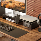 IntekView Extendable Monitor Stand with Integrated Accessories-Desk Protection: Built-in non-slip pads help prevent sliding and protect your desk from scratches