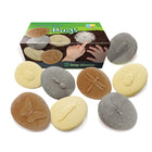 Yellow Door Let's Investigate Bugs Stone 8-Piece Set-Appealing to children's natural interest in mini-beasts, this is a great early STEM resource for your younger learners