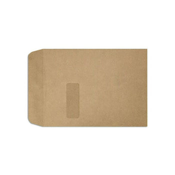 LUX 9 x 12 Open End Window Envelopes, Grocery Bag, 250 Pack (1590-GB ...
