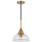 Hudson&Canal Magnolia 10.75" Wide Pendant with Glass Shade - Brass/Seeded-Rated for one 60W incandescent bulb - 9W LED bulb, 13W fluorescent (CFL) bulb, or 9W self-ballasted LED bulb, E26-base bulb, Bulb not included