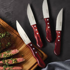Tramontina Porterhouse Steak Knife Set - Pointed - 4 Piece Set-3 solid rivets