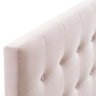 Modway Emily Biscuit Tufted Performance Velvet Queen Headboard - Pink-Dense Foam Padding